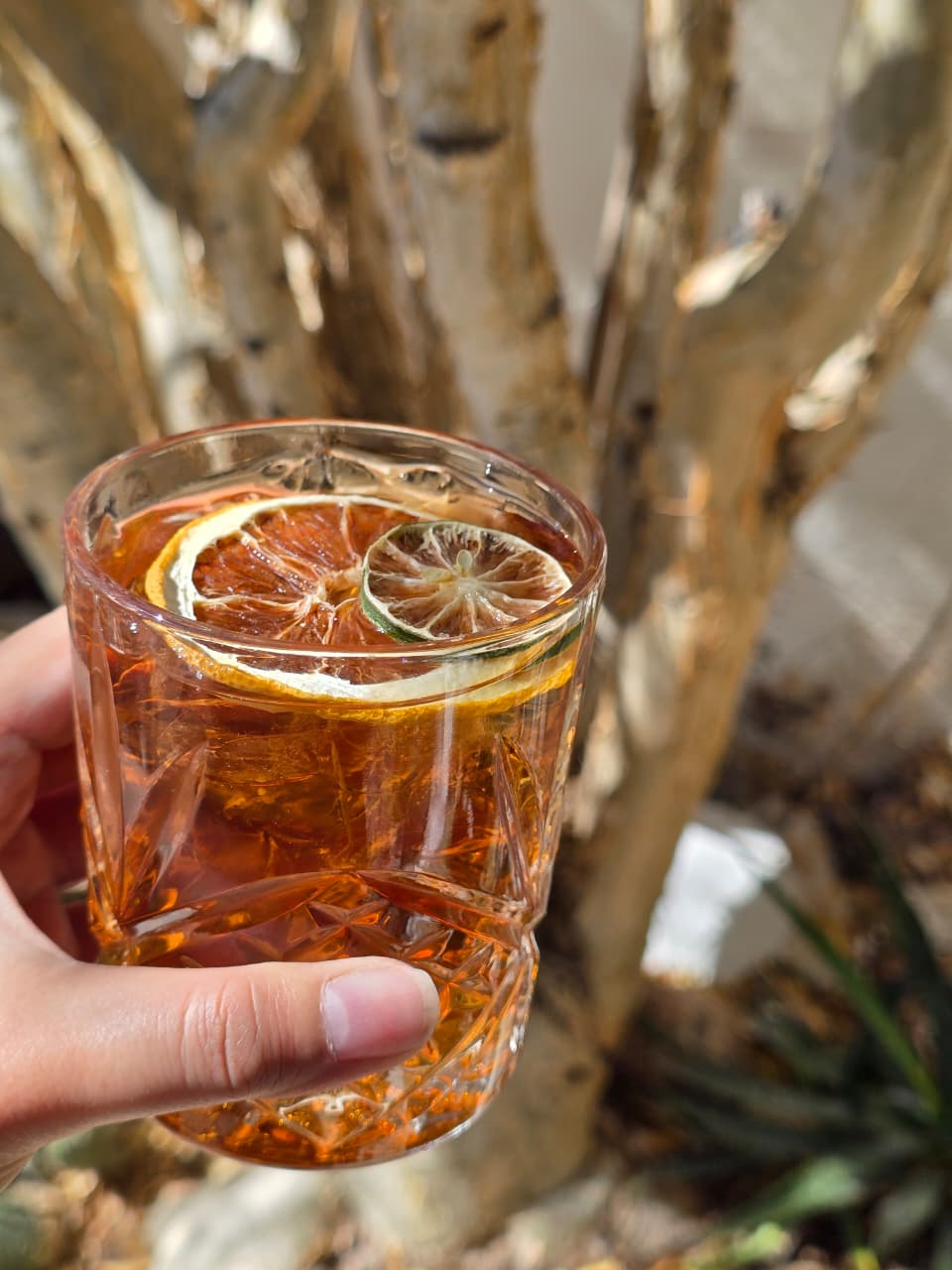 Rodajas de Naranja Deshidratada Premium 200g | Garnish Sonora