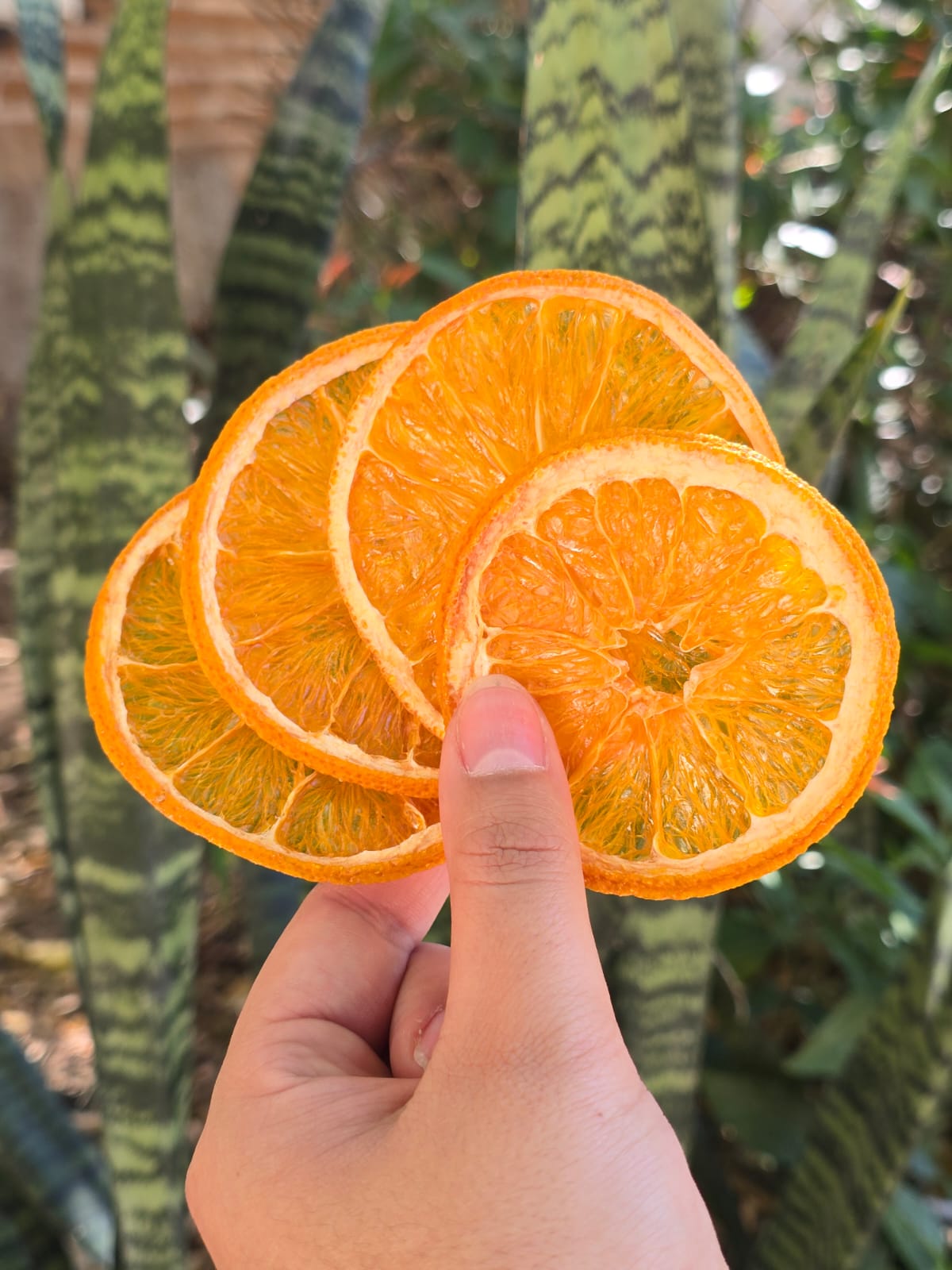 Naranja deshidratada premium 100g | Garnish Sonora