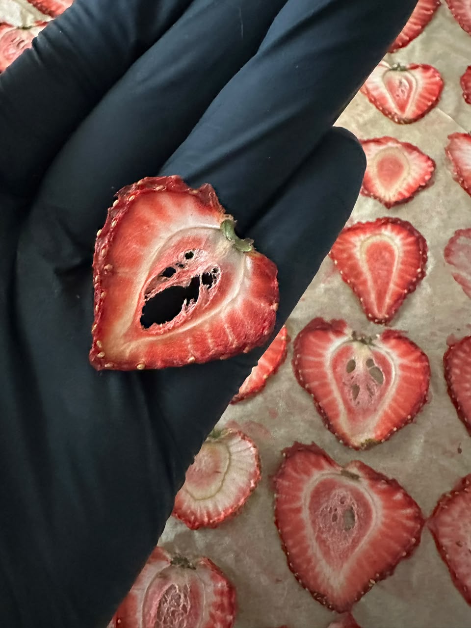 🍓x Snack de Fresa Deshidratada | 180 g | Garnish Sonora