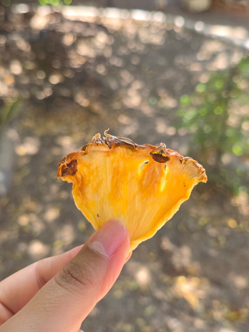 Combo piña y naranja | Piña 150 g + Naranja 100 g | Garnish Sonora