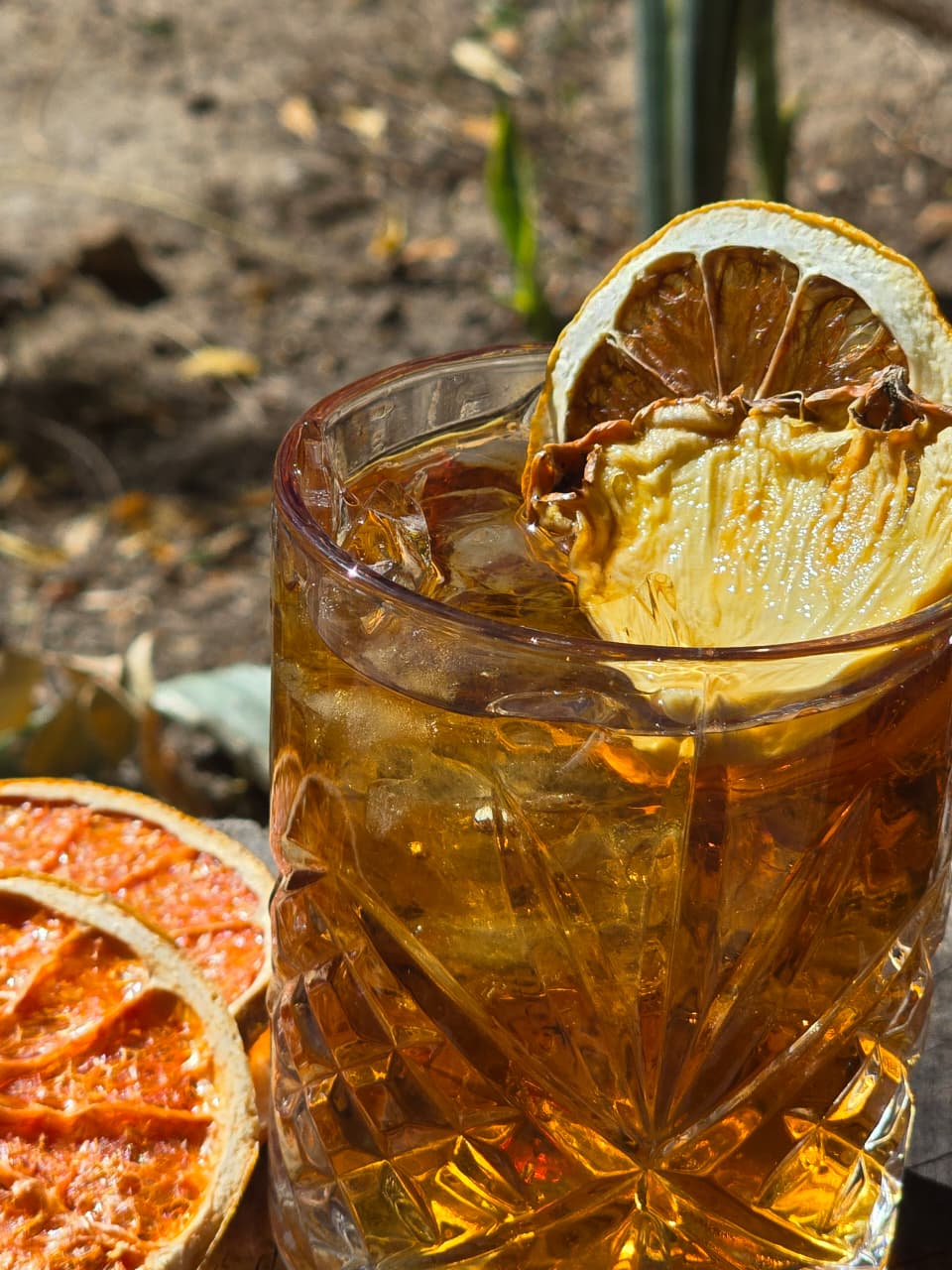 Combo 4 frutas deshidratadas | Naranja, Limón, Toronja y Piña | Garnish Sonora