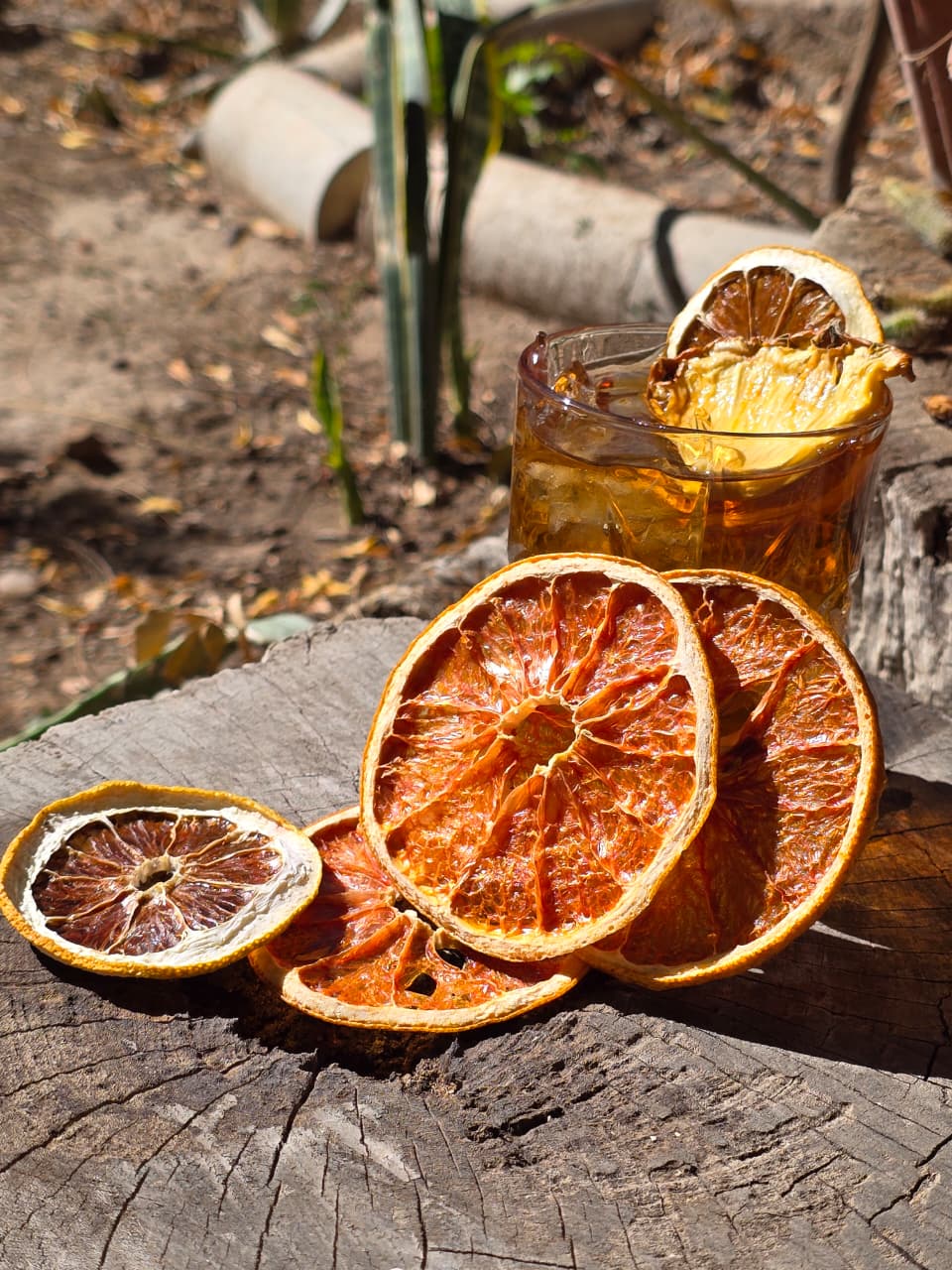 Combo 4 frutas deshidratadas | Naranja, Limón, Toronja y Piña | Garnish Sonora